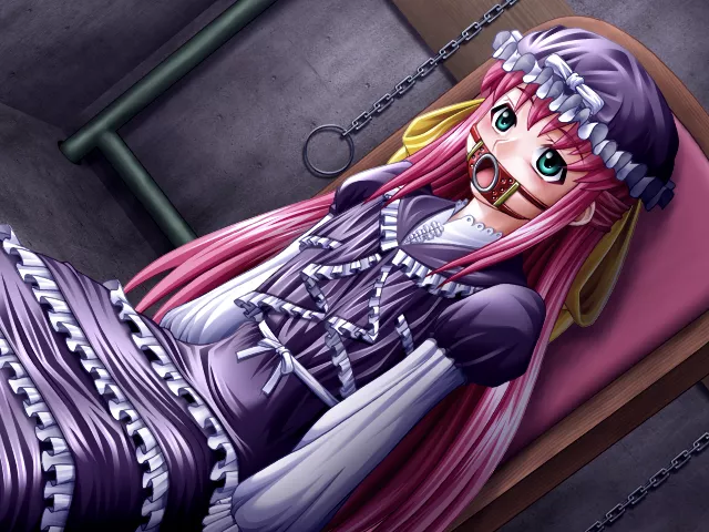 图片[3]-【PC】【アイル】【生肉】ボンデージ・ゲームDVG～深窓の隷嬢達～ 游戏本体+CG-光辉ACG