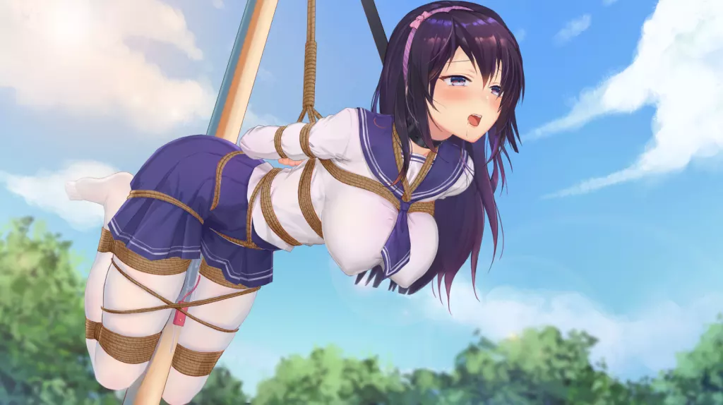 图片[5]-【PC】【DSGame】Seek Girl 系列合集+全CG存档 官方中文版 无修正-光辉ACG