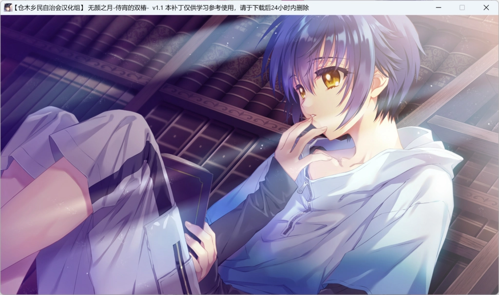 图片[3]-【PC】【ROOT】顔のない月 / 无颜之月 重制汉化版-光辉ACG